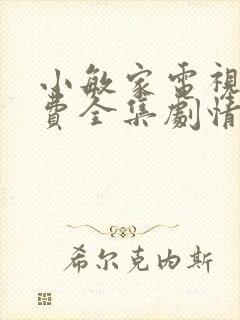 小敏家电视剧免费全集剧情