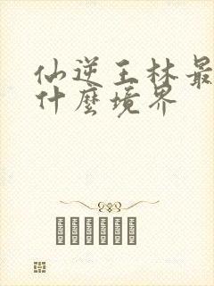 仙逆王林最后到什么境界