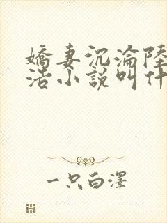 娇妻沉沦陆瑶秦浩小说叫什么