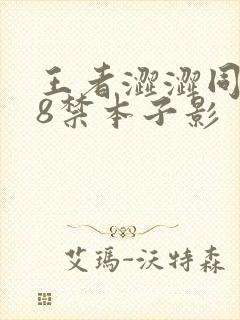 王者涩涩同人18禁本子影封面