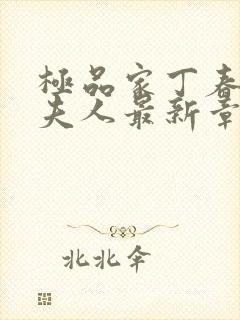 极品家丁春起萧夫人最新章节更新封面