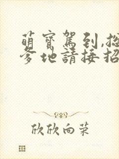 萌宝驾到,总裁爹地请接招