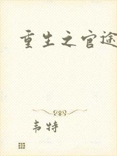 重生之官途辉煌