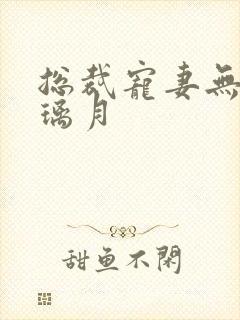 总裁宠妻无度沈璃月