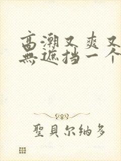 高潮又爽又黄又无遮挡一个人看的