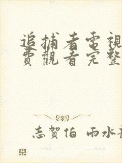 追捕者电视剧免费观看完整版高清封面