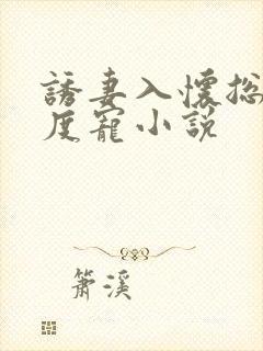 诱妻入怀总裁深度宠小说