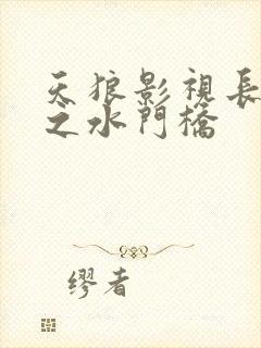 天狼影视长津湖之水门桥