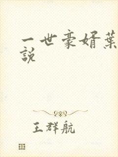 一世豪婿叶凡小说