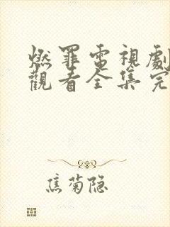 燃罪电视剧免费观看全集完整版封面