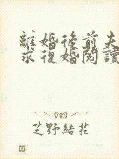 离婚后前夫哭着求复婚阅读全文全文