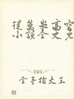 从万米高空降临小说全文免费阅读封面