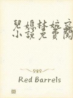 儿媳林婉容老李小说免费阅读狗小说