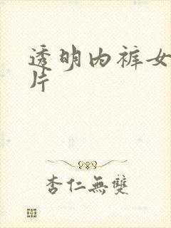 透明内裤女款图片