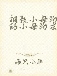 调教小母狗 操的小母狗求饶