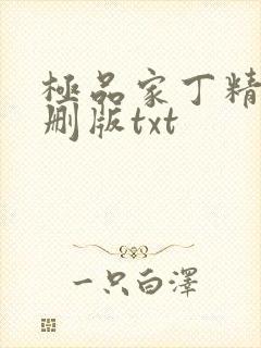极品家丁精校无删版txt封面