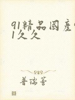 91精品国产91久久