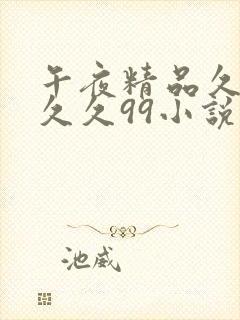 午夜精品久久久久久99小说