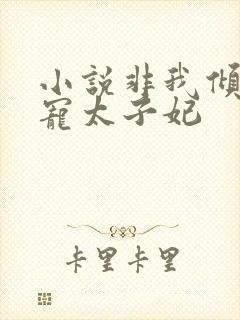 小说非我倾城独宠太子妃