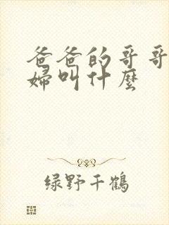 爸爸的哥哥的媳妇叫什么封面