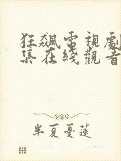 狂飙电视剧27集在线观看免费