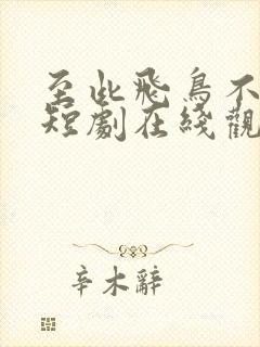 至此飞鸟不相逢短剧在线观看