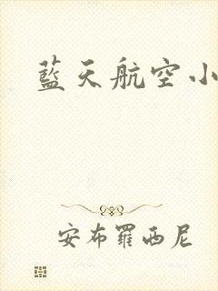 蓝天航空小说封面