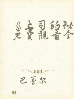 《上司的秘密》免费观看全集封面