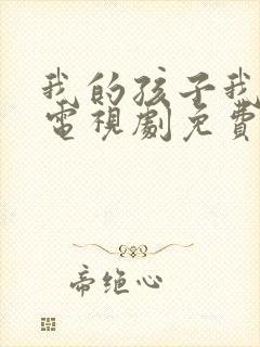 我的孩子我的家电视剧免费播放封面