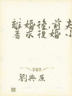 离婚后,前夫哭着求复婚 小说免费阅读