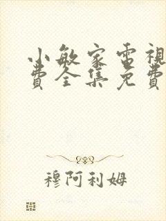 小敏家电视剧免费全集免费播放