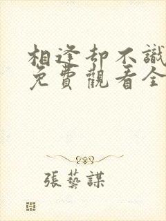 相逢却不识短剧免费观看全集