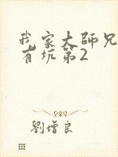 我家大师兄脑子有坑第2