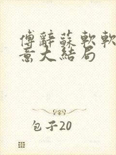 傅辞苏软软沈知意大结局