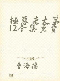 极恶老大第二季12全集免费播放