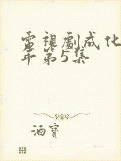 电视剧成化十四年第5集