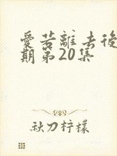 爱若离去后会无期第20集