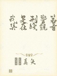 我是刑警第36集在线观看免费完整版封面