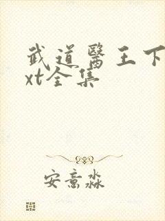 武道医王下载txt全集