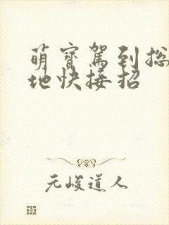 萌宝驾到总裁爹地快接招封面