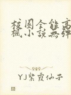 校园全能高手季枫小说无弹窗