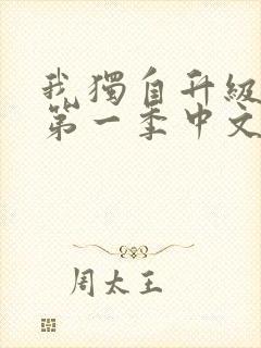 我独自升级动漫第一季中文版封面