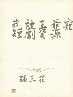 我被王爷宠成宝短剧资源封面