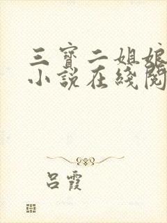 三宝二姐娘孽缘小说在线阅读