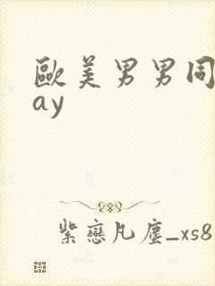 欧美男男同性gay