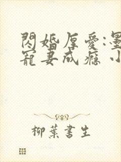 闪婚厚爱:墨少宠妻成瘾 小说