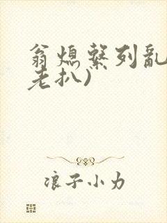 翁熄系列乱 (老扒)