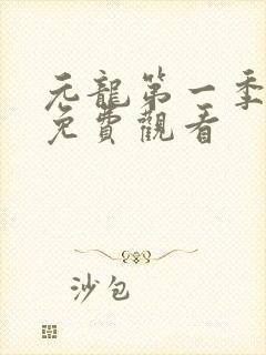 元龙第一季高清免费观看