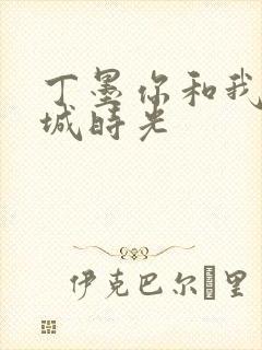 丁墨你和我的倾城时光