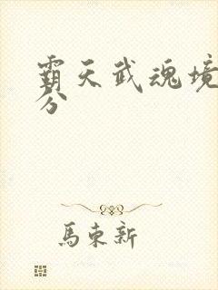 霸天武魂境界划分